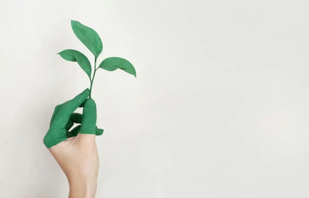 Guardiamo al fututo Prana impianti